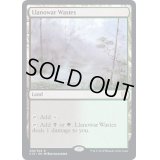ラノワールの荒原/Llanowar Wastes《英語》【Commander 2019】