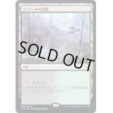 ラノワールの荒原/Llanowar Wastes《日本語》【Commander 2019】