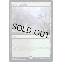 ラノワールの荒原/Llanowar Wastes《日本語》【Commander 2019】