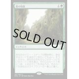 [HPLD]森の知恵/Sylvan Library《日本語》【EMA】