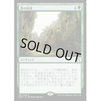 [HPLD]森の知恵/Sylvan Library《日本語》【EMA】