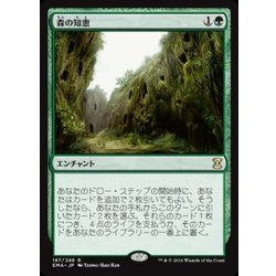 画像1: [POOR]森の知恵/Sylvan Library《日本語》【EMA】