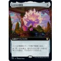 [EX](FOIL)(フルアート)ニクスの睡蓮/Nyx Lotus《日本語》【THB】