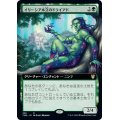 (FOIL)(フルアート)イリーシア木立のドライアド/Dryad of the Ilysian Grove《日本語》【THB】