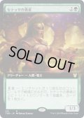 [EX+](FOIL)(フルアート)セテッサの勇者/Setessan Champion《英語》【THB】