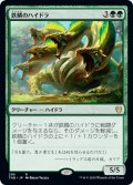 [EX+]鉄鱗のハイドラ/Ironscale Hydra《日本語》【THB】