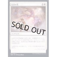 払拭の光/Banishing Light《英語》【THB】
