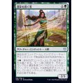 [EX+](FOIL)運命を紡ぐ者/Destiny Spinner《日本語》【THB】