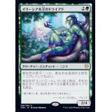 イリーシア木立のドライアド/Dryad of the Ilysian Grove《日本語》【THB】