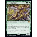 [EX+]ニクス咲きの古きもの/Nyxbloom Ancient《英語》【THB】