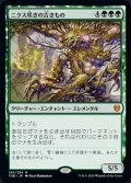 [EX+]ニクス咲きの古きもの/Nyxbloom Ancient《英語》【THB】