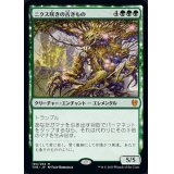 [EX+]ニクス咲きの古きもの/Nyxbloom Ancient《英語》【THB】