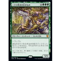 [EX+]ニクス咲きの古きもの/Nyxbloom Ancient《英語》【THB】