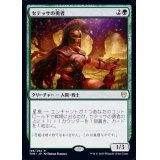 セテッサの勇者/Setessan Champion《日本語》【THB】