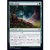 狼柳の安息所/Wolfwillow Haven《日本語》【THB】