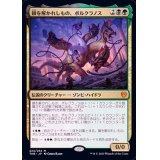 鎖を解かれしもの、ポルクラノス/Polukranos, Unchained《英語》【THB】