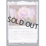 [EX+](プレリリースFOIL)ニクスの睡蓮/Nyx Lotus《英語》【THB】