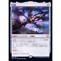 (FOIL)影槍/Shadowspear《日本語》【THB】