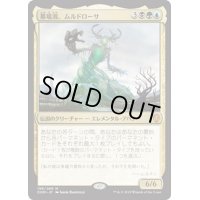 [EX+]墓場波、ムルドローサ/Muldrotha, the Gravetide《日本語》【DOM】