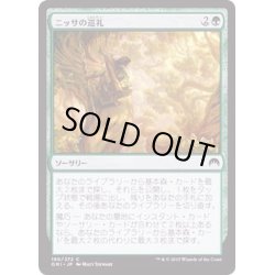 画像1: ニッサの巡礼/Nissa's Pilgrimage《日本語》【ORI】