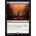 [EX]納墓/Entomb《日本語》【EMA】
