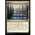 祖先の道/Path of Ancestry《日本語》【ECC】