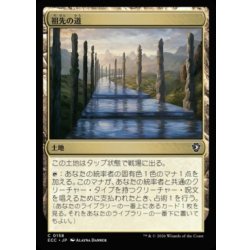 画像1: 祖先の道/Path of Ancestry《日本語》【ECC】