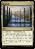 [EX+]祖先の道/Path of Ancestry《日本語》【SOC】