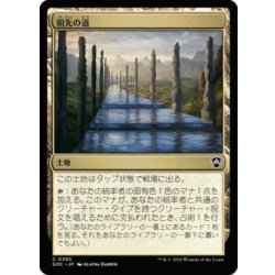 画像1: [EX+]祖先の道/Path of Ancestry《日本語》【SOC】