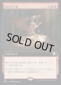 [EX](フルアート)降り注ぐ富/Rain of Riches《日本語》【NCC】