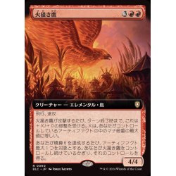 画像1: [EX+](フルアート)火掻き鷹/Pyreswipe Hawk《日本語》【BLC】