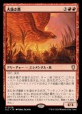 火掻き鷹/Pyreswipe Hawk《日本語》【BLC】