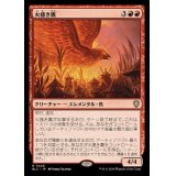 火掻き鷹/Pyreswipe Hawk《日本語》【BLC】