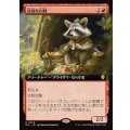 (フルアート)裕福な山賊/Prosperous Bandit《日本語》【BLC】