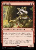 [EX+]裕福な山賊/Prosperous Bandit《日本語》【BLC】