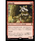 [EX+]裕福な山賊/Prosperous Bandit《日本語》【BLC】