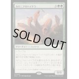 [EX+]カロニアのハイドラ/Kalonian Hydra《日本語》【BLC】