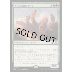 画像1: カロニアのハイドラ/Kalonian Hydra《日本語》【BLC】