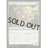 [EX+]リスの君主/Squirrel Sovereign《日本語》【BLC】