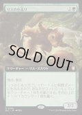 (フルアート)リスの小走り/Scurry of Squirrels《日本語》【BLC】