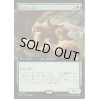 [EX+](フルアート)リスの小走り/Scurry of Squirrels《日本語》【BLC】