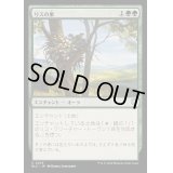 [EX+]リスの巣/Squirrel Nest《日本語》【BLC】