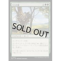 リスの巣/Squirrel Nest《日本語》【BLC】