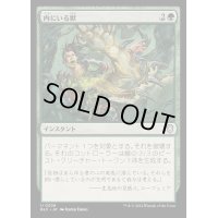 内にいる獣/Beast Within《日本語》【BLC】