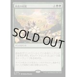 [EX+]再度の収穫/Second Harvest《日本語》【BLC】