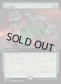 (フルアート)合同醸造/Communal Brewing《日本語》【BLC】