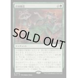 [EX+]合同醸造/Communal Brewing《日本語》【BLC】