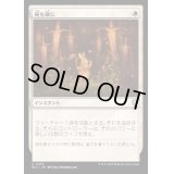 [EX+]剣を鍬に/Swords to Plowshares《日本語》【BLC】