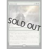 [EX+]巫師の天啓/Shamanic Revelation《日本語》【BLC】