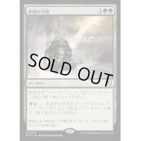 巫師の天啓/Shamanic Revelation《日本語》【BLC】